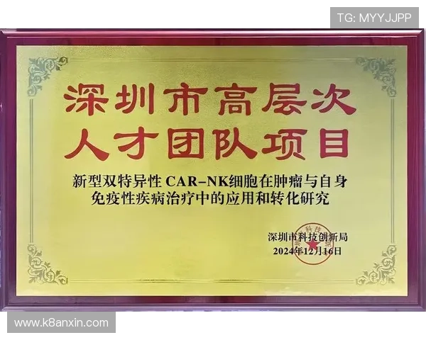 如何快速找到凯发K8官网地址确保游戏安全与顺畅体验指南